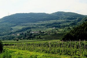 20190727064434_IMG_9515.JPG 20190727064434_IMG_9515.JPG