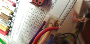 20190731_124747.jpg 20190731_124747.jpg