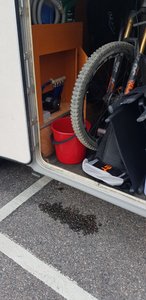 20190730_162557.jpg 20190730_162557.jpg