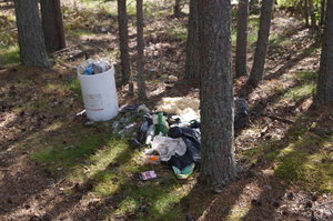 Konstvägen,Nämforsen, Hällristningar, Näsåker 011.JPG