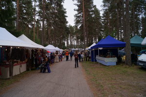 Konstvägen,Nämforsen, Hällristningar, Näsåker 093.JPG