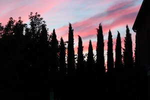 20190731192235_IMG_9568.JPG 20190731192235_IMG_9568.JPG