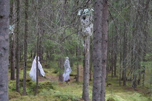 Tomteland 3 aug 2019 015.JPG Tomteland 3 aug 2019 015.JPG