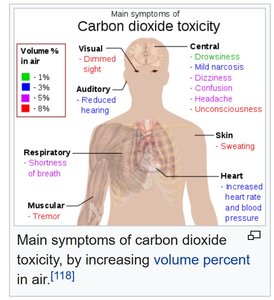 co2.JPG