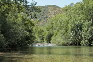 received_412957559339686.jpeg received_412957559339686.jpeg