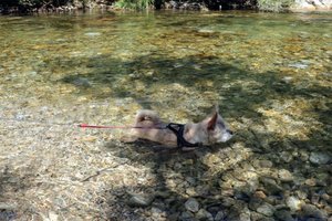 received_453034425246953.jpeg received_453034425246953.jpeg