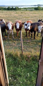 IMG_20190808_203828.jpg