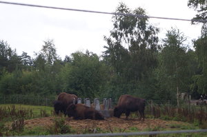 High Chaparall 070.JPG High Chaparall 070.JPG