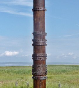 P1120210A.JPG P1120210A.JPG