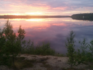 upload_2019-8-11_14-46-6.png upload_2019-8-11_14-46-6.png
