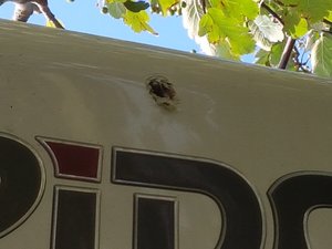 20170729_195417.jpg 20170729_195417.jpg