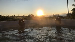 4E6C451B-6728-4BCB-92A5-97FDBF1FC580.jpeg