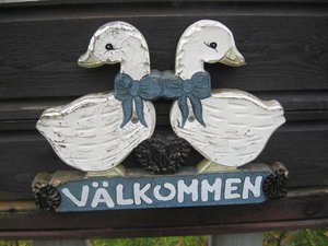 Ripjakt och Ljusdal sept. 2010 041.jpg