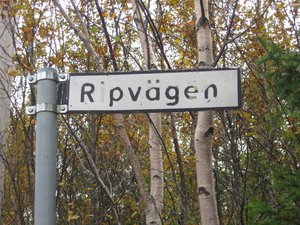 Ripjakt och Ljusdal sept. 2010 040.jpg
