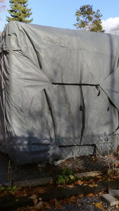 DSC_1590.JPG DSC_1590.JPG