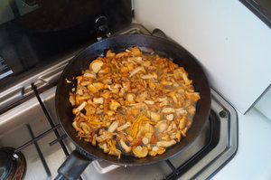 Kantareller 20 aug 2019 004.JPG