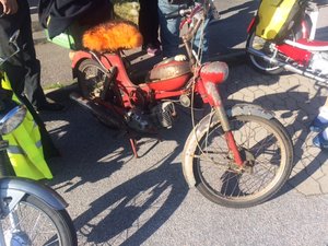 IMG_2181.JPG IMG_2181.JPG