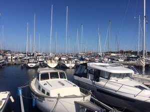 IMG_2186.JPG IMG_2186.JPG