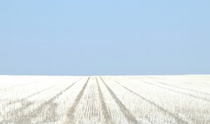 20190825101204_IMG_0346.JPG 20190825101204_IMG_0346.JPG