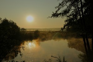 20190823050647_IMG_0333.JPG 20190823050647_IMG_0333.JPG