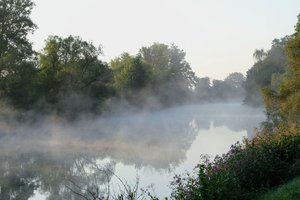 20190823045903_IMG_0331.JPG 20190823045903_IMG_0331.JPG