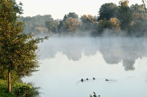 20190823045827_IMG_0329.JPG 20190823045827_IMG_0329.JPG