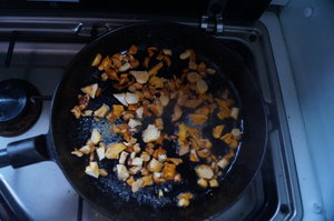 Kantareller 1 sep -19 002.JPG