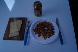 Kantareller 1 sep -19 003.JPG