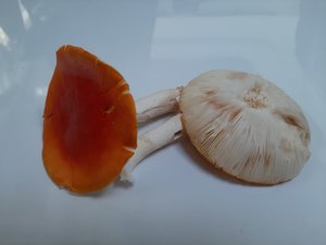 20190903_143634.jpg 20190903_143634.jpg