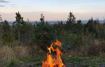 Nyheter från besöksnäringen