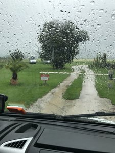 80C1E9EE-9558-40BA-841E-1594DF2E6E99.jpeg 80C1E9EE-9558-40BA-841E-1594DF2E6E99.jpeg