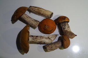 Örstig Nyköping 001.JPG Örstig Nyköping 001.JPG