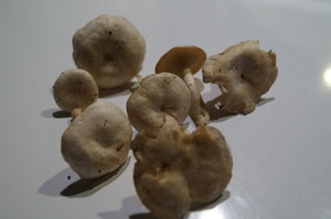 Örstig Nyköping 005.JPG Örstig Nyköping 005.JPG