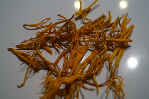 Örstig Nyköping 006.JPG Örstig Nyköping 006.JPG