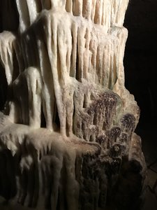 81C1B616-E839-405F-856C-94C1DE0B168B.jpeg 81C1B616-E839-405F-856C-94C1DE0B168B.jpeg