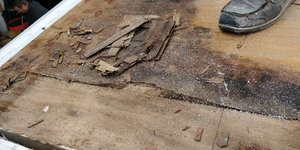 IMG_20190907_110323.jpg IMG_20190907_110323.jpg