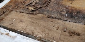 IMG_20190907_110324.jpg IMG_20190907_110324.jpg