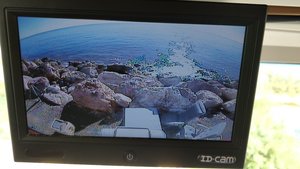 IMG_20190912_094120.jpg