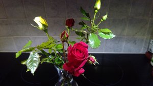WIN_20171214_10_59_03_Pro.jpg