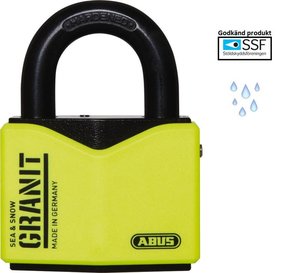 Abus.jpg