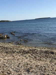 BB0BF617-AC84-4DBB-A901-796ADE98D418.jpeg BB0BF617-AC84-4DBB-A901-796ADE98D418.jpeg