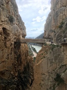 83855267-2D98-45BE-A6C3-846D8134A3B8.jpeg 83855267-2D98-45BE-A6C3-846D8134A3B8.jpeg