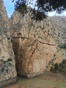 CD602C6B-7E85-42B2-9115-B2C935D1315C.jpeg CD602C6B-7E85-42B2-9115-B2C935D1315C.jpeg