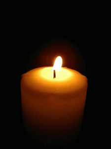 IMG_4708.GIF