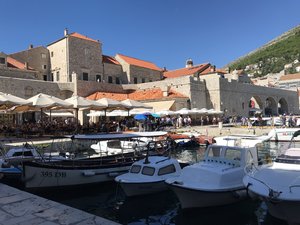 0C4F9CDB-2F0A-48A6-BE28-E8C2464B0371.jpeg 0C4F9CDB-2F0A-48A6-BE28-E8C2464B0371.jpeg