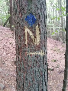 20190917_131748.jpg 20190917_131748.jpg