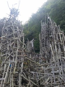 20190917_124129.jpg 20190917_124129.jpg