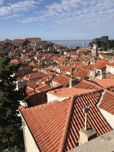 376C1D5B-3034-42F6-B859-76A8391CD366.jpeg 376C1D5B-3034-42F6-B859-76A8391CD366.jpeg