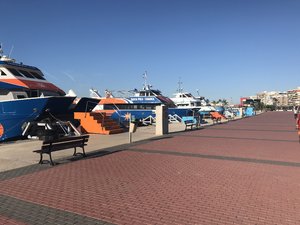 1E67E84C-DCE2-4106-B1B0-0CB7030C9152.jpeg