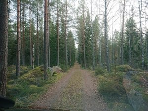 DSC_2413~01.jpg